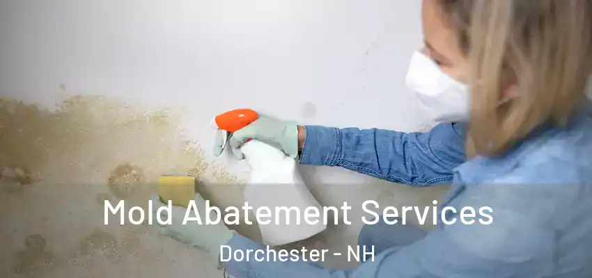 Mold Abatement Services Dorchester - NH