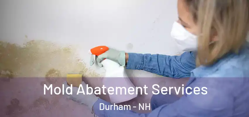 Mold Abatement Services Durham - NH