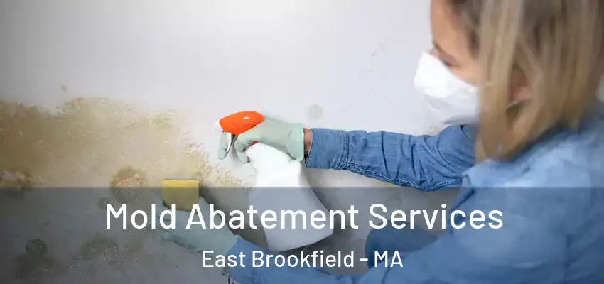  Mold Abatement Services East Brookfield - MA