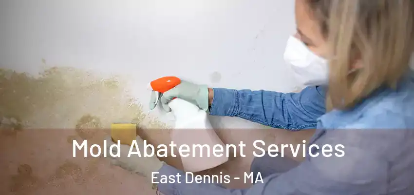  Mold Abatement Services East Dennis - MA