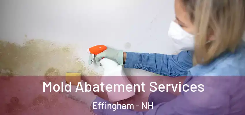 Mold Abatement Services Effingham - NH