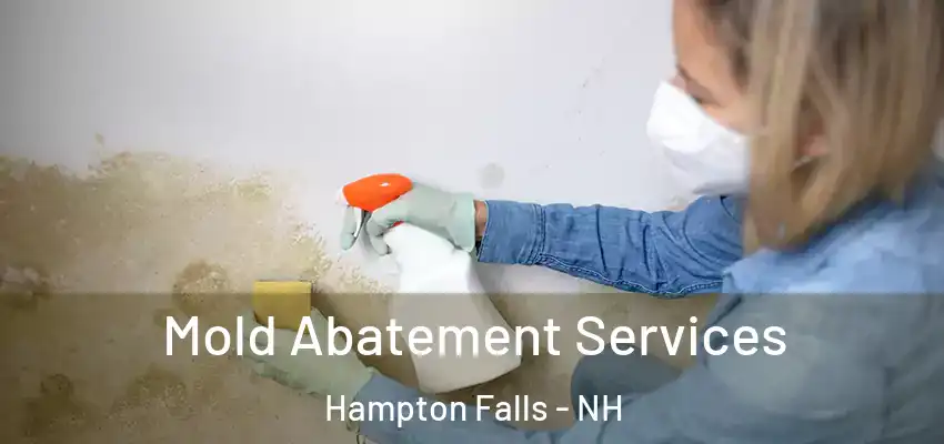 Mold Abatement Services Hampton Falls - NH