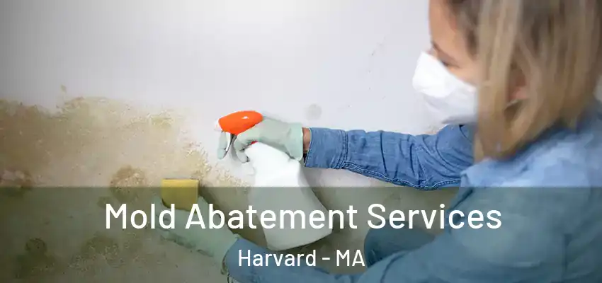 Mold Abatement Services Harvard - MA
