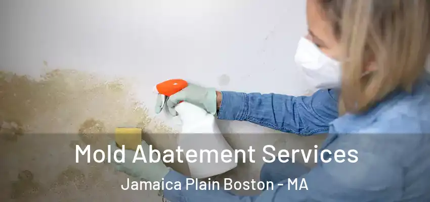  Mold Abatement Services Jamaica Plain Boston - MA
