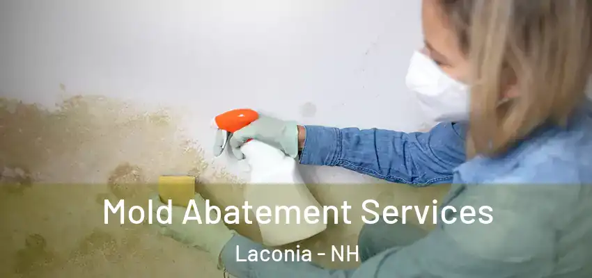  Mold Abatement Services Laconia - NH