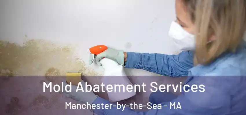 Mold Abatement Services Manchester-by-the-Sea - MA