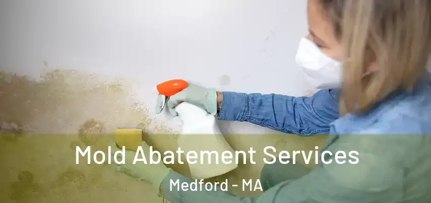  Mold Abatement Services Medford - MA