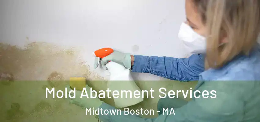 Mold Abatement Services Midtown Boston - MA