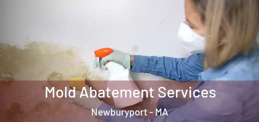  Mold Abatement Services Newburyport - MA