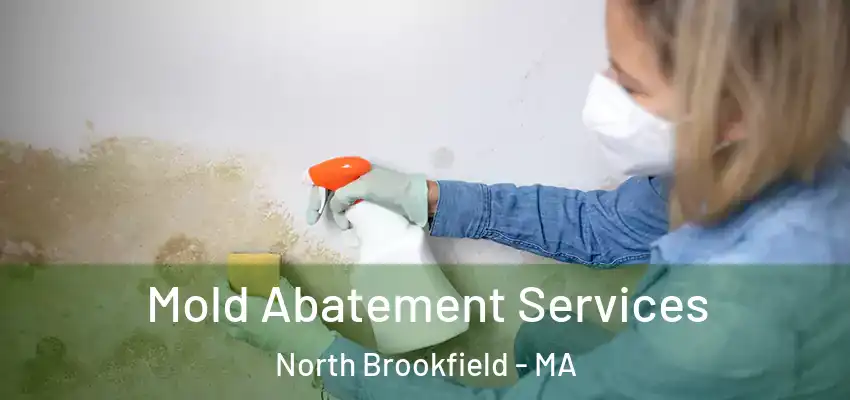 Mold Abatement Services North Brookfield - MA