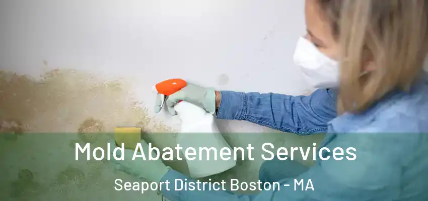 Mold Abatement Services Seaport District Boston - MA