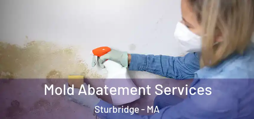 Mold Abatement Services Sturbridge - MA