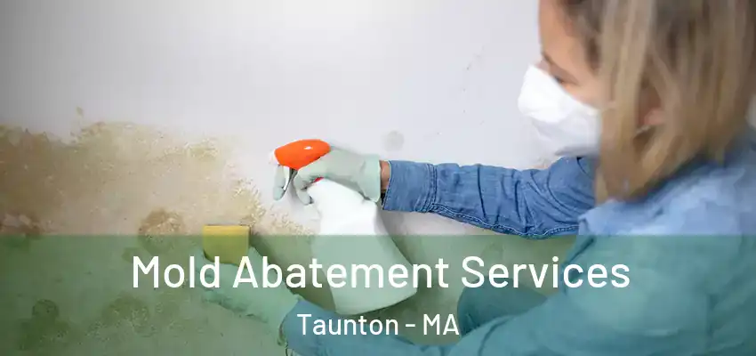 Mold Abatement Services Taunton - MA