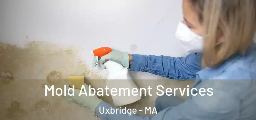  Mold Abatement Services Uxbridge - MA