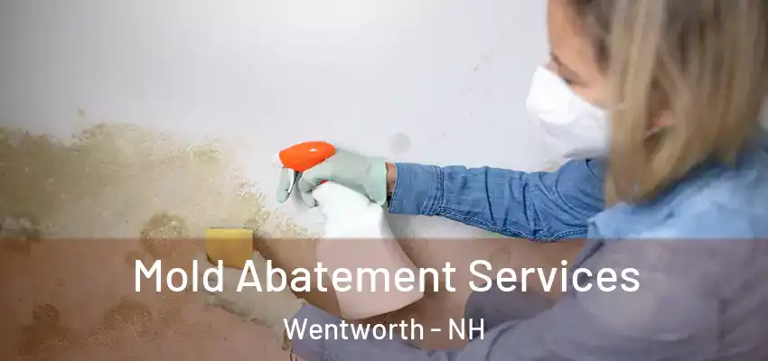 Mold Abatement Services Wentworth - NH