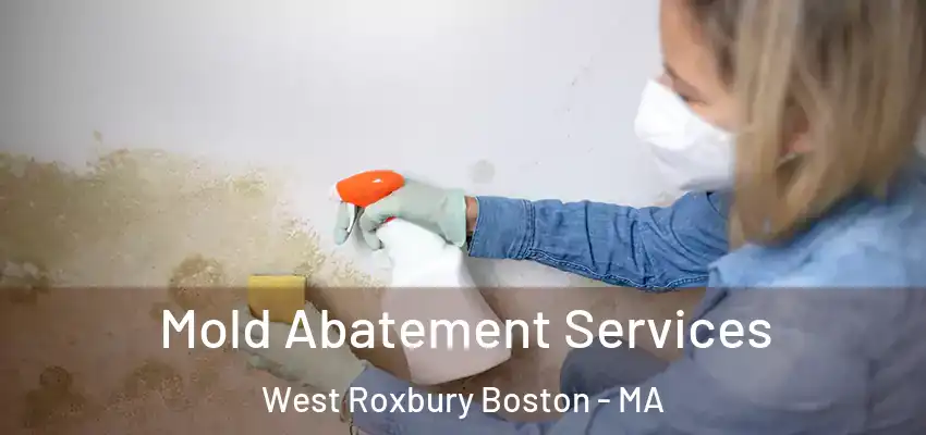  Mold Abatement Services West Roxbury Boston - MA