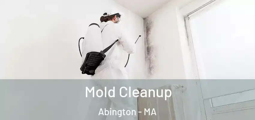 Mold Cleanup Abington - MA