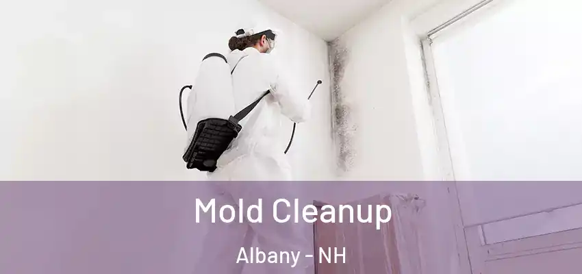  Mold Cleanup Albany - NH