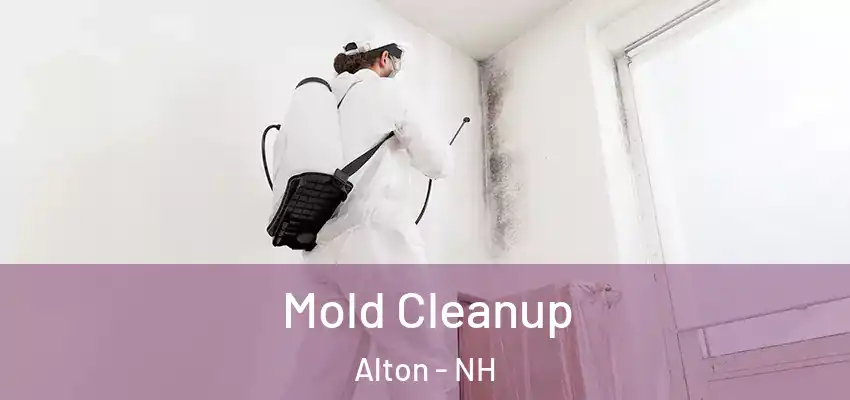 Mold Cleanup Alton - NH