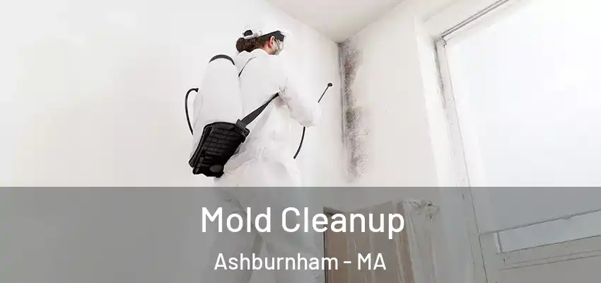 Mold Cleanup Ashburnham - MA