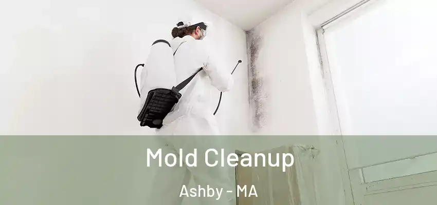 Mold Cleanup Ashby - MA