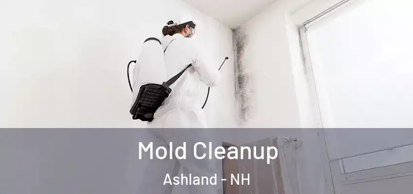  Mold Cleanup Ashland - NH