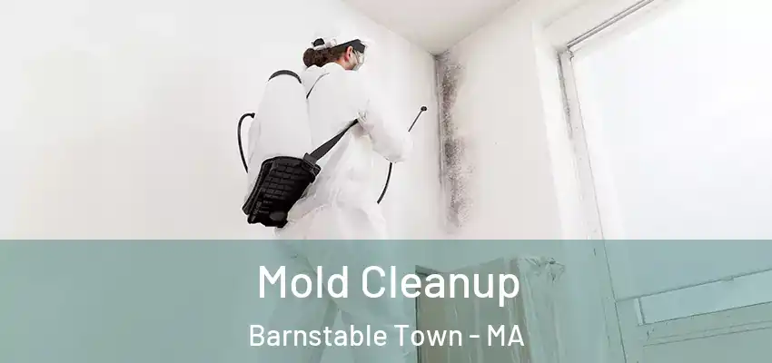 Mold Cleanup Barnstable Town - MA
