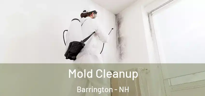  Mold Cleanup Barrington - NH