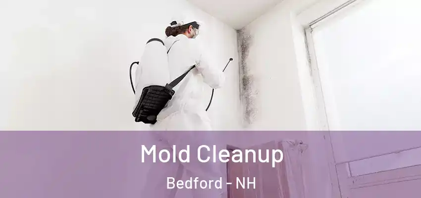 Mold Cleanup Bedford - NH
