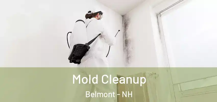  Mold Cleanup Belmont - NH