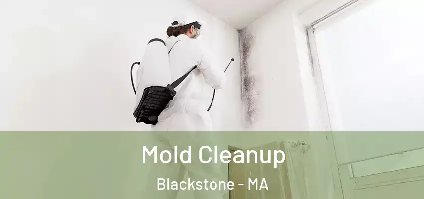 Mold Cleanup Blackstone - MA