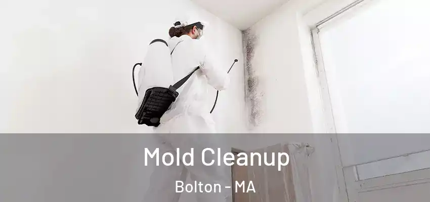 Mold Cleanup Bolton - MA