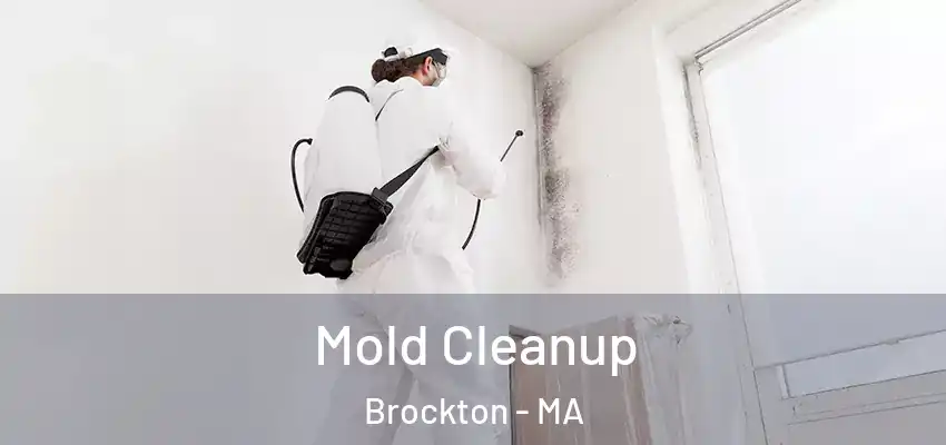Mold Cleanup Brockton - MA