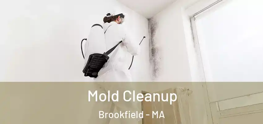 Mold Cleanup Brookfield - MA