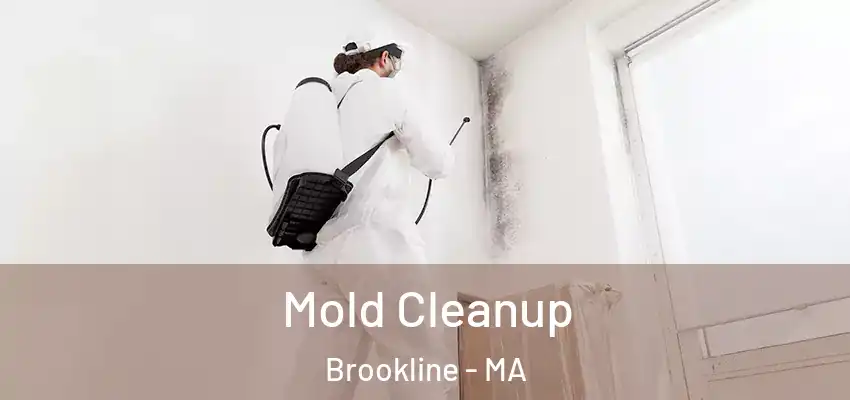 Mold Cleanup Brookline - MA