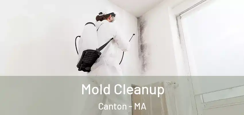  Mold Cleanup Canton - MA