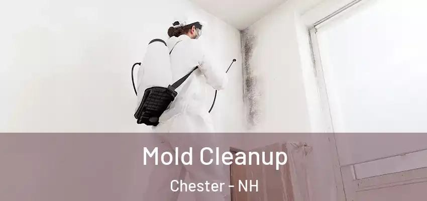 Mold Cleanup Chester - NH