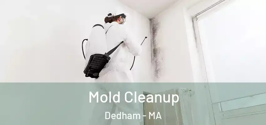 Mold Cleanup Dedham - MA