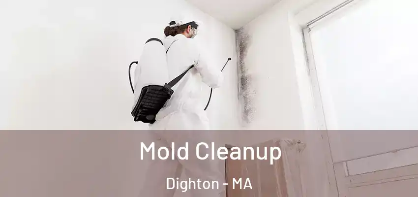 Mold Cleanup Dighton - MA