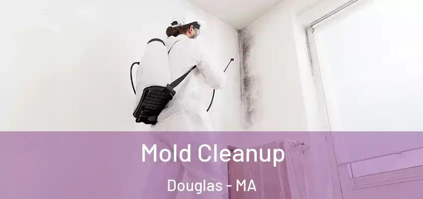Mold Cleanup Douglas - MA
