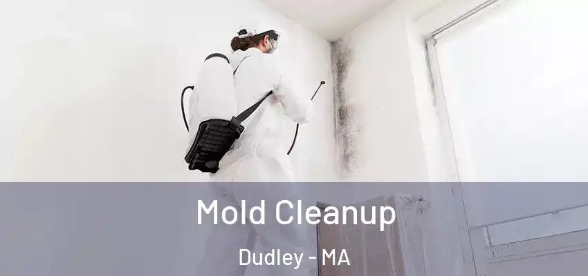 Mold Cleanup Dudley - MA