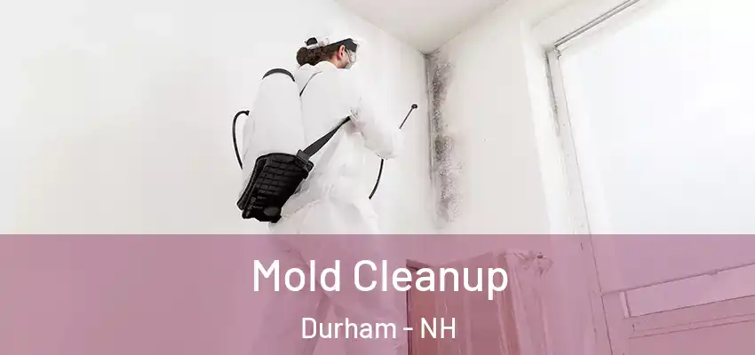 Mold Cleanup Durham - NH