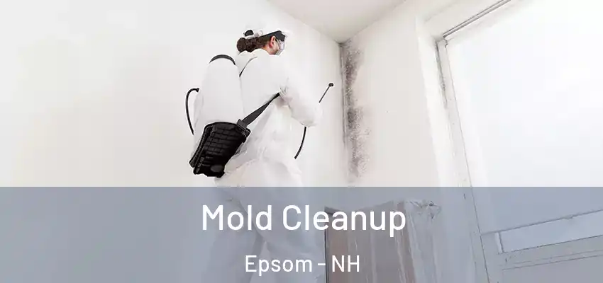 Mold Cleanup Epsom - NH