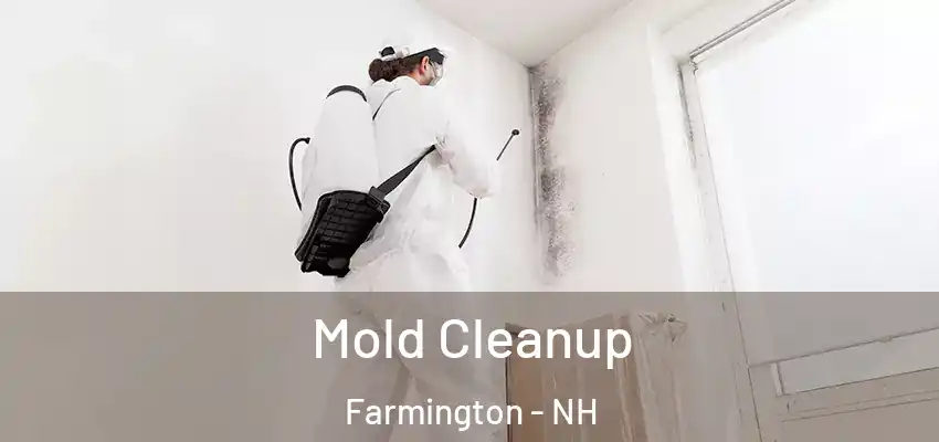Mold Cleanup Farmington - NH