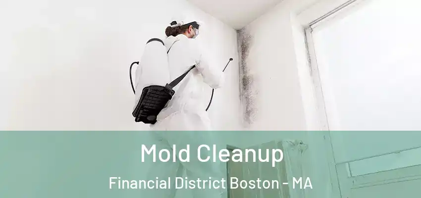  Mold Cleanup Financial District Boston - MA