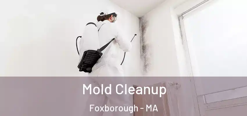 Mold Cleanup Foxborough - MA