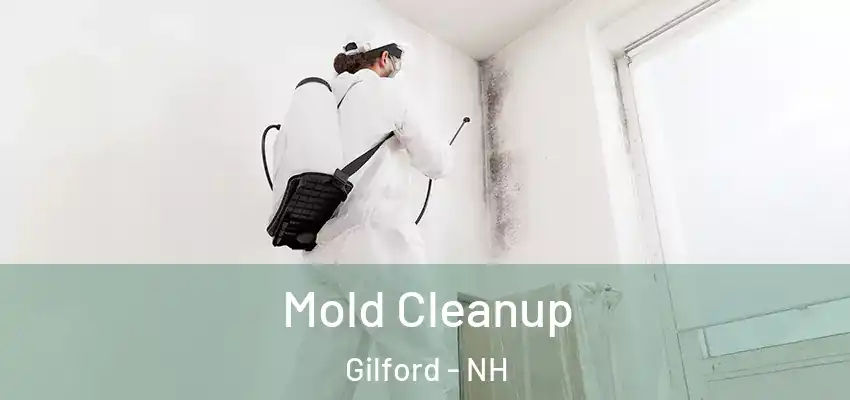  Mold Cleanup Gilford - NH