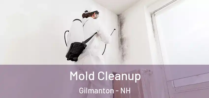 Mold Cleanup Gilmanton - NH