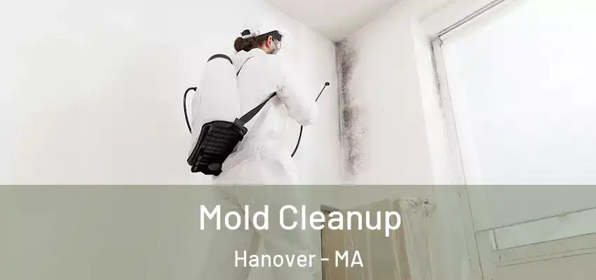 Mold Cleanup Hanover - MA