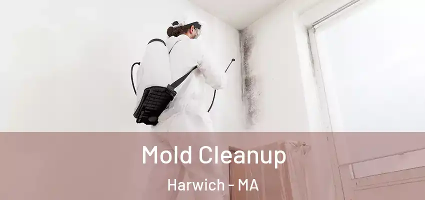 Mold Cleanup Harwich - MA